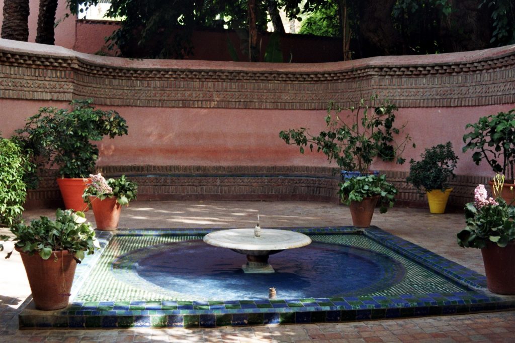 Wild Marocco (3): Le Jardin Majorelle - Marrakech Afrika Marokko Marrakesch nature gallery Verwunschene Orte  