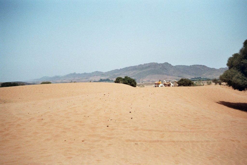Wild Marocco (5): Little Sahara & Tiznit Afrika Kleine Sahara und Tiznit Marokko nature gallery Verwunschene Orte  