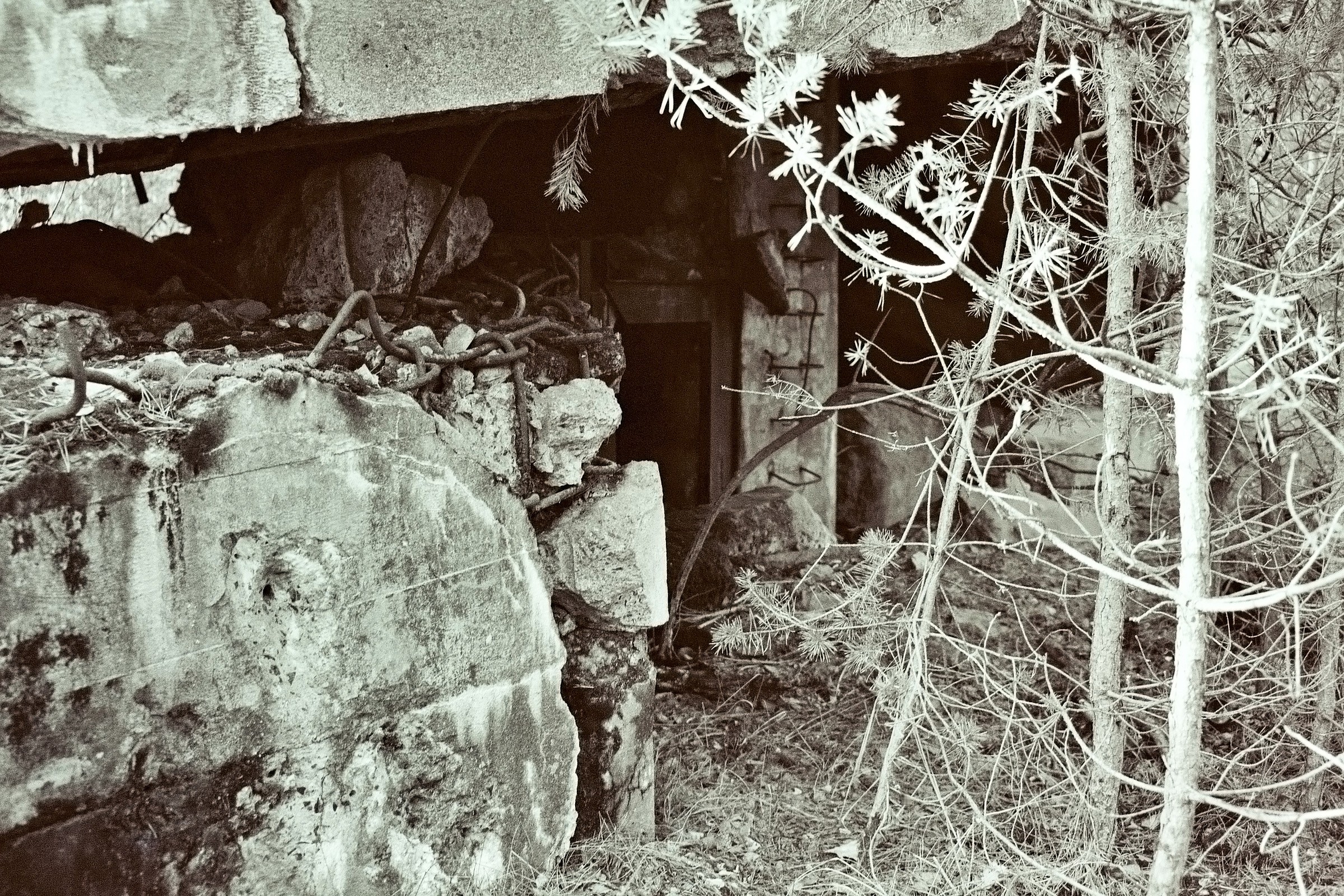 Bunker Eingang